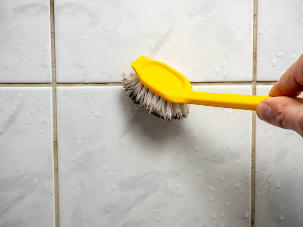Best Mold Removal Company Near Me  in Leachville, AR