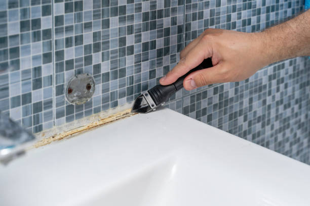 Best Local Mold Removal Service  in Leachville, AR
