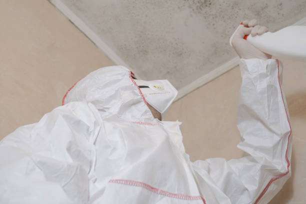Best Professional Mold Removal  in Leachville, AR