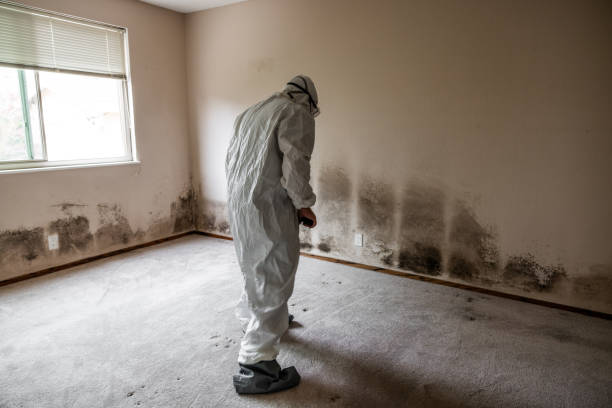Best Water Damage Restoration  in Leachville, AR